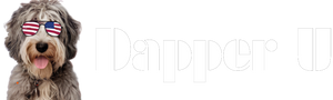 Dapper U
